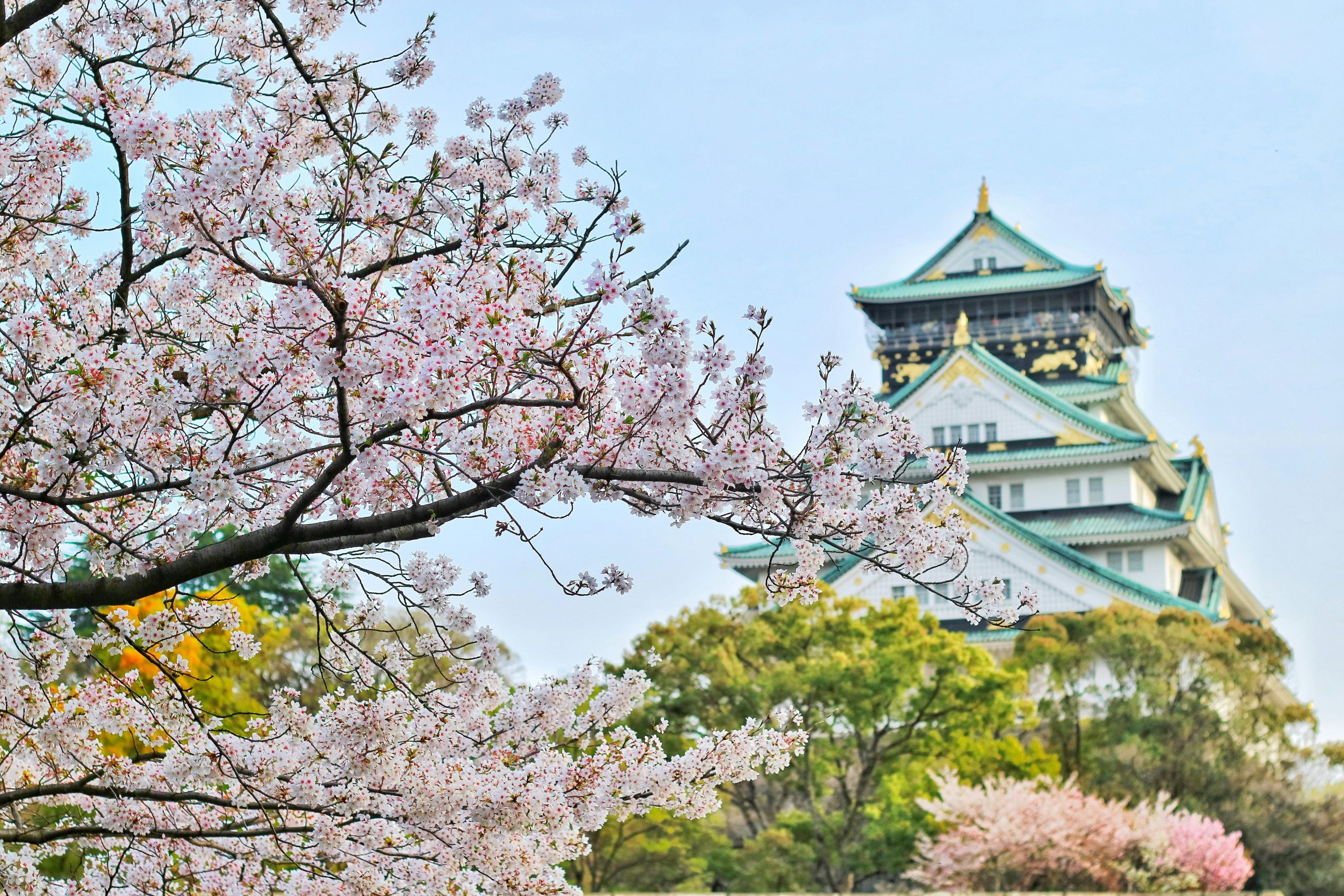 Japan pics